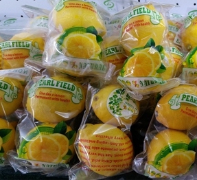 虐到渣渣都不剩：柠檬100%完全使用手册