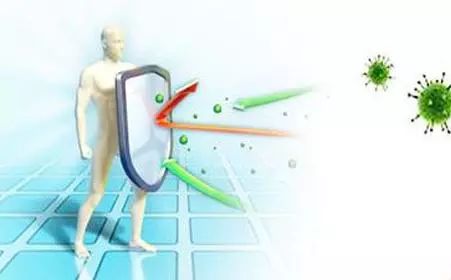 诺丽果有降血糖的作用吗,诺丽果十大健康功效