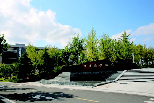 闈掑矝鍏腑鏁欒偛鐞嗗康,闈掑矝鍏腑鏁欏璐ㄩ噺鍒嗘瀽