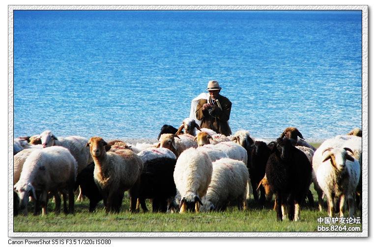 梦里花开——*疆新**，又一次的心动