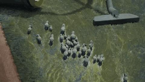 天了噜,他们的新MV这么会玩,原来玩摇滚的脑洞也很大