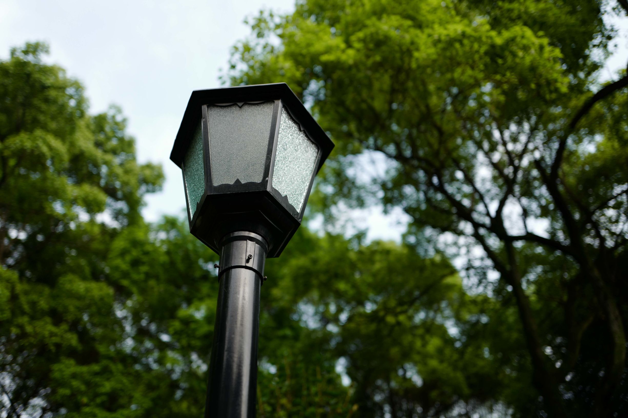 这才是德味-LeicaQ一个月使用报告