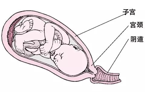 分娩过程中的三个产程过程,待产清单准妈妈们收藏起来