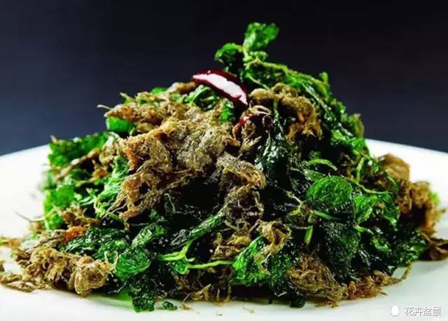 苔痕上阶绿草色入帘青妙在哪里,苔痕上阶绿草色入帘青全文