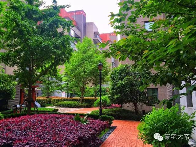 那些你路过却不曾进去过的法租界豪宅｜豪宅大帝独家毒辣点评