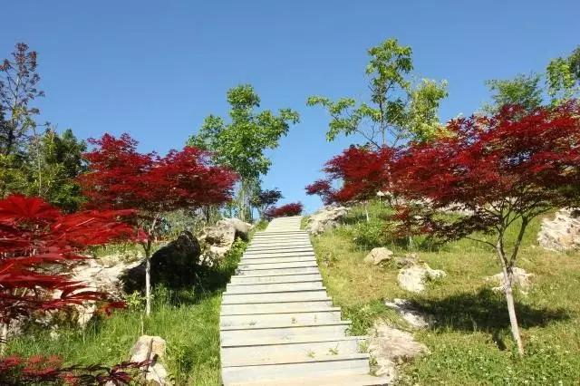 端午旅游景点推荐旅游团,端午假期这些景点全免费