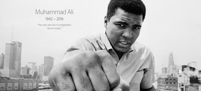 酒仙网柳岩,柳岩加入过什么直播