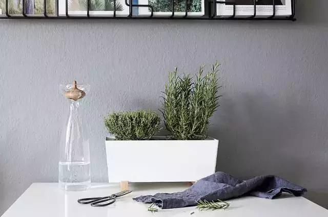 生活中的数字元素,无处不在的自然元素