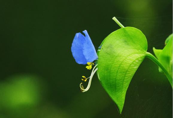 猴年马月优化,猴年马月能出头