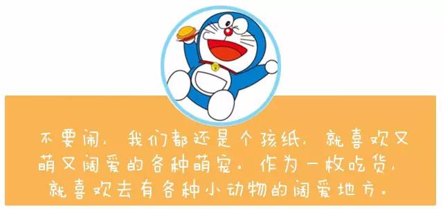 谁说我们不能过儿童节！献给大朋友们的6·1嗨皮攻略！