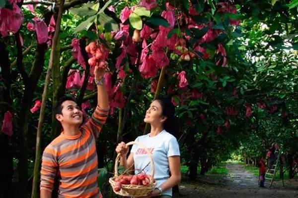 带孩子去马来西亚旅游,带孩子去马来西亚旅游安全吗