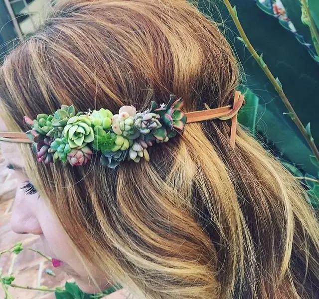 外国大神多肉,ins多肉