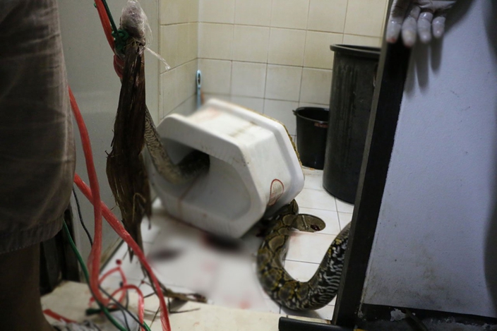 泰国当地民众居然这样上厕所？！