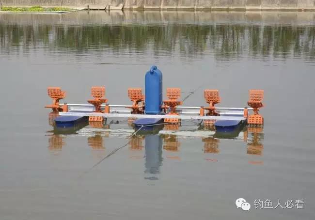 春天哪个时段钓鱼最好钓,进入深秋什么时段钓鱼最好