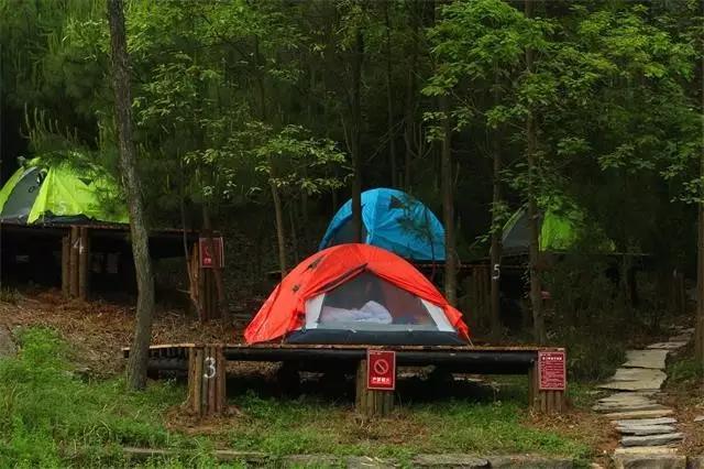 端午旅游景点推荐旅游团,端午假期这些景点全免费