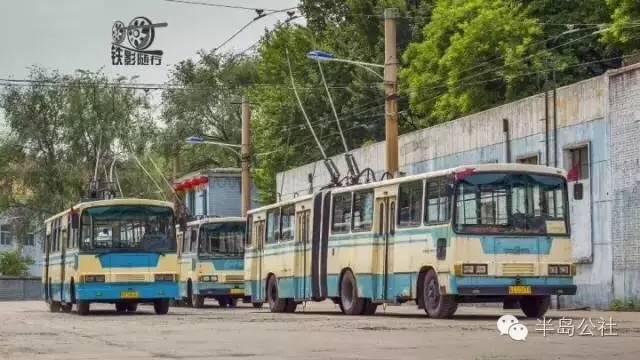 张群英路人视角,张群英抖音视频