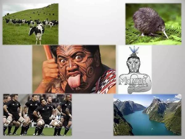 卓悦英语课程,卓悦英语速记