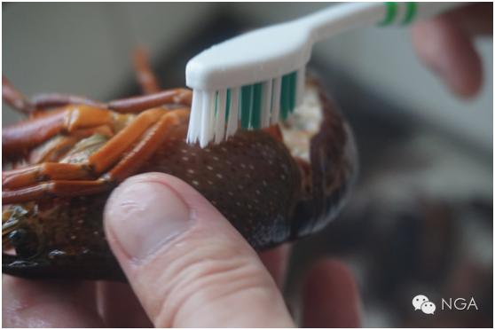 学做小龙虾最简单的方法,学做半成品小龙虾