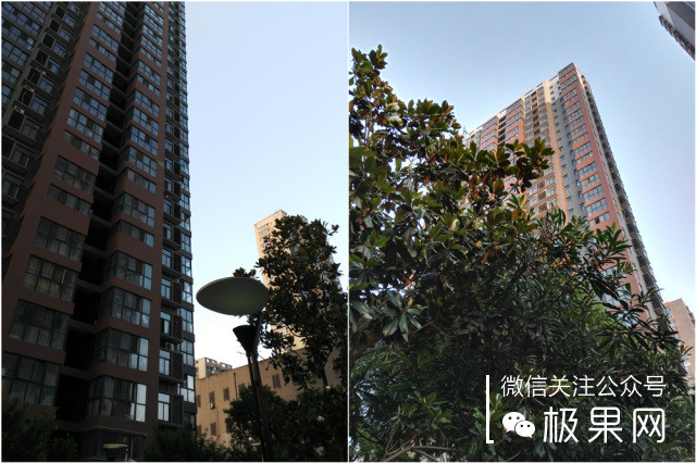 荣耀7i十天使用感受，拍照出众手感细腻