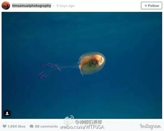 看魔兽影片,看魔兽应该知道的事