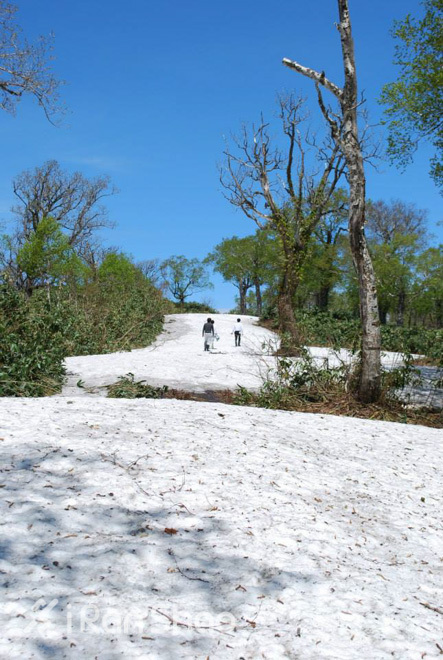 马拉松儿童赛赛程,马拉松知识科普儿童