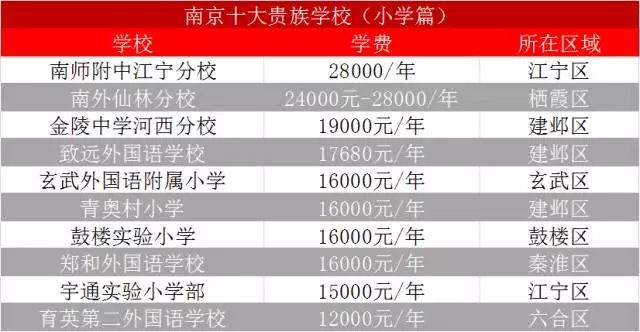 南京河西贵族学校,南京贵族学校