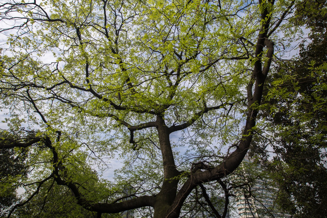 初来乍到1到6,从早到晚怎么逛成都