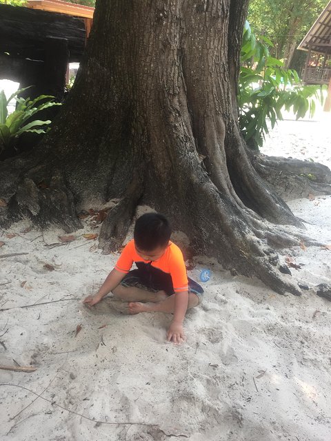 甯︾潃鐗涢瓟鐜嬬湅鏄熸槦,甯︾潃鐗涢瓟鐜嬪嚭鏉ョ湅涓婂笣