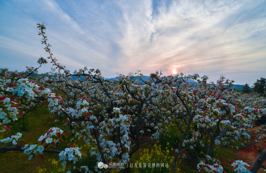 山灵水韵，德才兼备，了不起的安庆*光春**