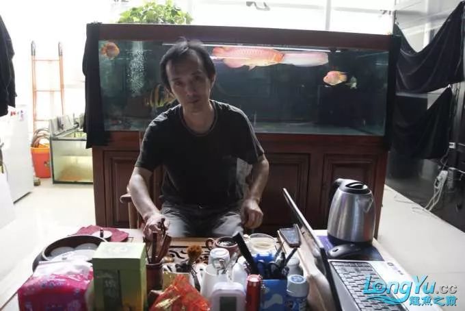 一招教你选龙鱼,龙鱼饲养经验交流