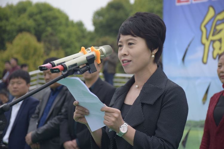 驻马店新能源汽车展,驻马店新能源汽车展示会