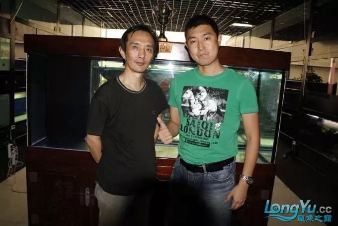 一招教你选龙鱼,龙鱼饲养经验交流