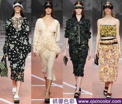 色彩顾问网上视频教学,色彩顾问jessica