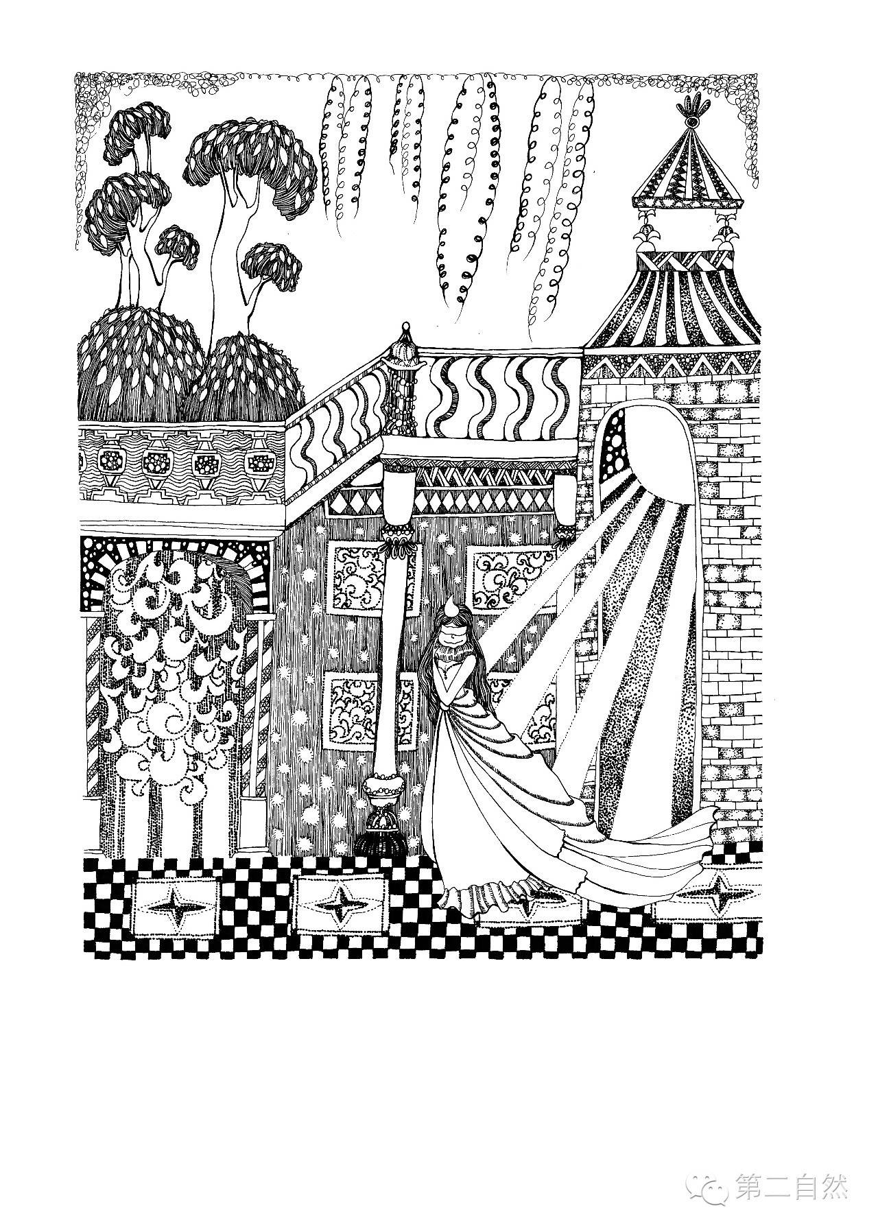 魔法森林经典故事,魔法森林故事视频