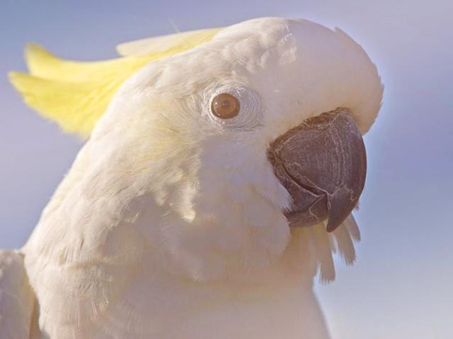 现在都还不知道?身边生物的寿命(饲养编)