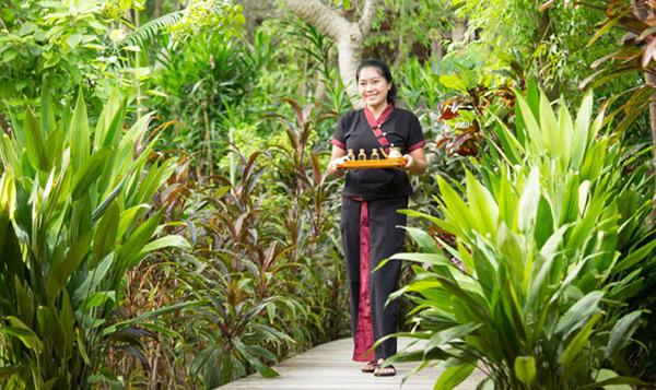 美佳航空的飞机,马代库拉玛蒂kuramathi价格