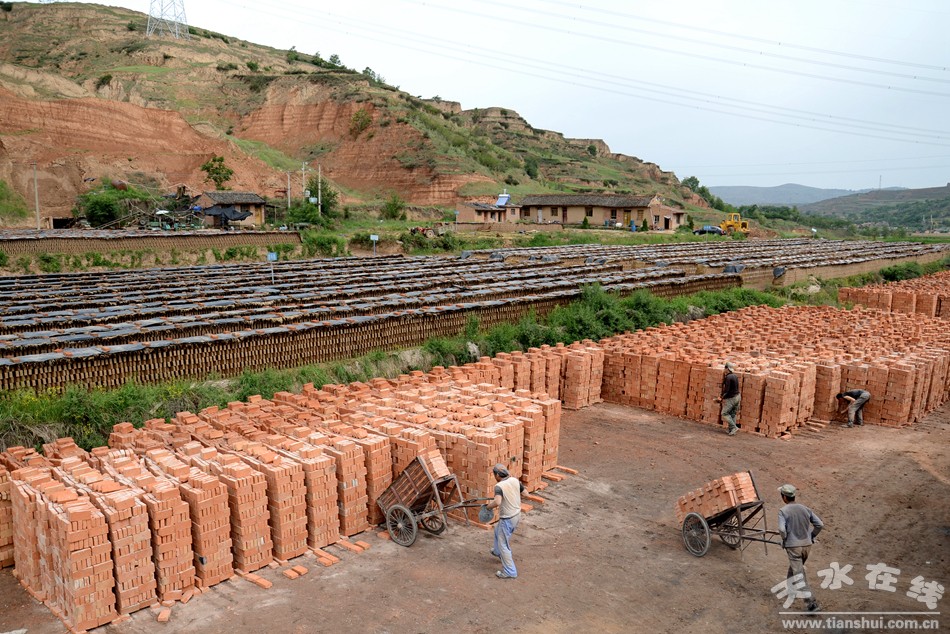 天水市麦积区最美村庄,天水市最美乡村谢沟村