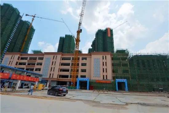 公告青秀区新添四所公办小学,今年九月招生(玉兰路小学、百花岭路小学、民主路小学佛子岭路校区、林里桥中段小学)