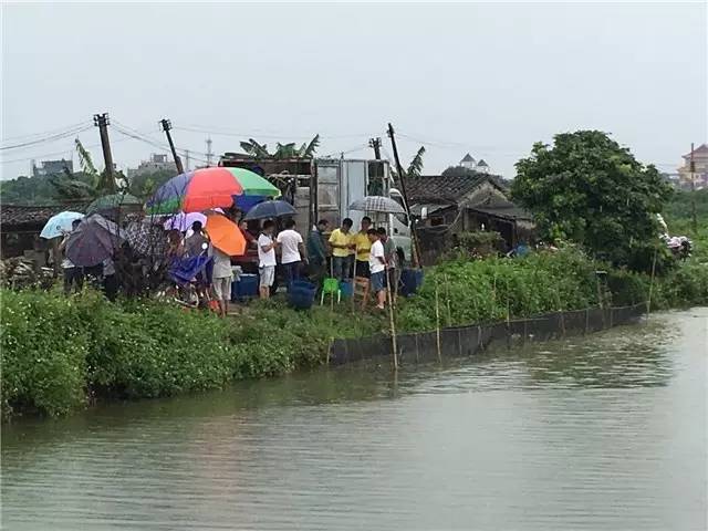 从种苗到流通，海大欲建价值链优势雄霸惠州市场