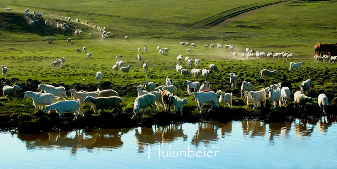 呼伦贝尔拍照攻略,呼伦贝尔美景拍照