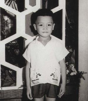 心路历程,星路历程电影完整版