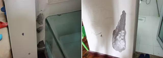 一个卫生间问题几乎“毁”了我整个家|小谭来了用户调研