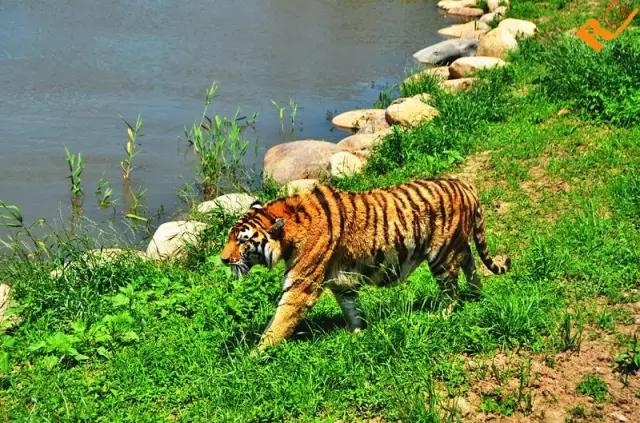 上海地铁沿线好玩的地方,上海地铁14号线沿线景点