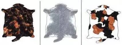 趣说猫历史|原来所有猫咪中性格最好的是你呀！