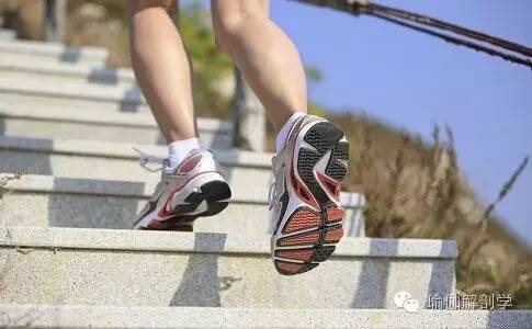 散步时怎么锻炼腰部力量,晚上散步会增加骨密度吗