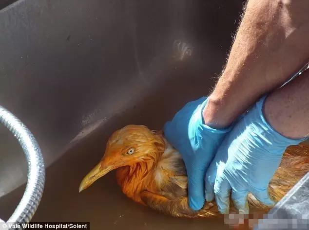 实况足球2016一球成名修改,2016欧洲杯夺冠历程