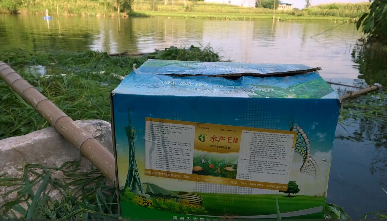 一般人不知道的钓鱼神饵,养鱼em菌的作用和功效