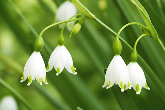 进口壁纸品牌排行榜,中国壁纸品牌排行榜前十名