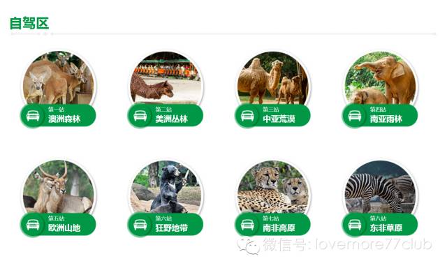 一日游广州长隆野生动物园攻略,广州长隆野生动物园自由行攻略