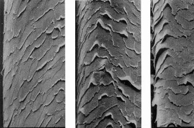 电吹风吹头发发质变差吗,电吹风发热效果变差了怎么回事